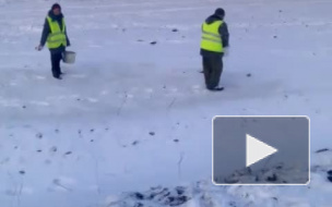 Видео очевидца: в Чувашии засеяли травой сугробы 