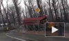 Жуткое видео из Ростова-на-Дону: дерево упало на КАМАЗ и убило двух человек