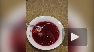 В школе №53 Пушкинского района не обнаружили сырого мяса в борще. Ранее об этом сообщили анонимы