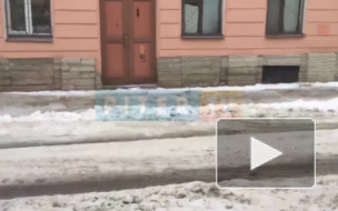 Житель Петербурга пожаловался на плохую уборку переулка Джамбула
