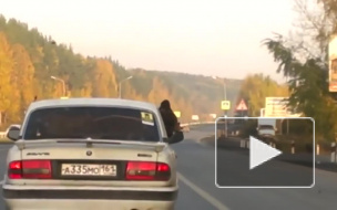Видео бурого медведя, который путешествует на пассажирском сидении "Волги", взорвало Интернет