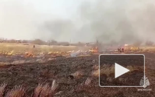 В Хабаровске загорелась трава на части Большого Уссурийского острова