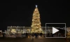На Дворцовой площади зажгли новогоднюю ёлку