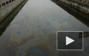 На Канале Грибоедова убирают ядовитую масляную пленку