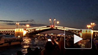 В Петербурге запустили сервис информирования о разводке мостов в онлайн режиме