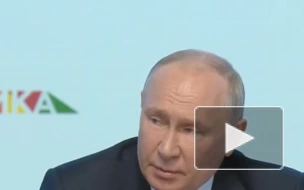 Путин заявил, что отношения Египта и России носят стратегический характер