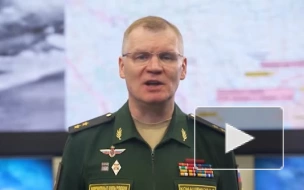МО РФ сообщило о пресечении атаки батальонной тактической группы ВСУ в районе Степного
