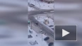 Видео: на Богатырском проспекте малыши катаются с ...