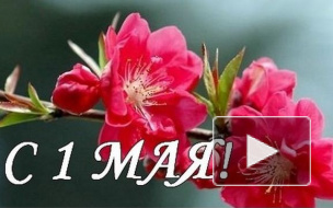 1 мая День труда, День весны. Поздравления с 1 мая в стихах, прозе