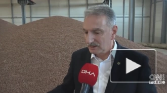 Глава Турецкого зернового совета назвал слабой версию диверсии в порту Дериндже
