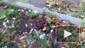 Утечка воды, Таганрог