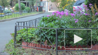 Житель Луги сорвался с седьмого этажа 