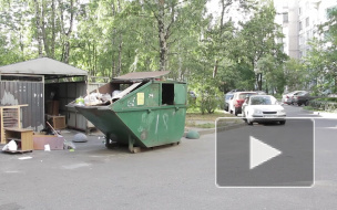 Жители в шоке: продавцы с Северного рынка гадят во дворах Светлановского проспекта