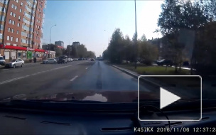 Милая встреча.