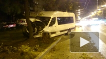 В Петербурге маршрутка с пассажирами врезалась в дерево, в ДТП пострадали четыре человека