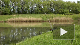 В России вступил в силу закон о любительском рыболовстве