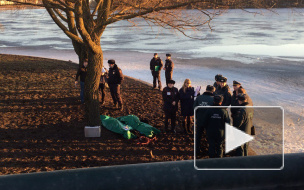 Водолазы нашли тела подростков, провалившихся под лед Ижорского пруда