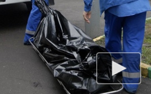 В Петербурге при попытке поджарить на костре мертвого собутыльника задержаны двое парней