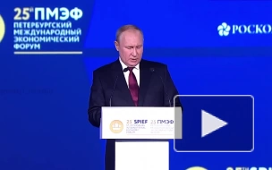 Путин считает, что ситуация в Европе приведет к всплеску радикализма и затем к смене элит