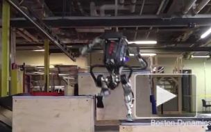 Робот Boston Dynamics научился круто паркурить