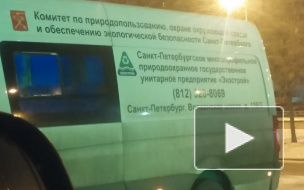 В Петербурге задержали пьяного мужчину с "винтажной" банкой ртути