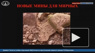 ВСУ продолжают использовать запрещенные мины "Лепесток", заявил Мирошник