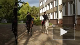 В Калининском районе две девушки приехали голосовать на лошадях 