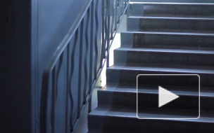 В Петербурге двух девочек избили жестокие насильники