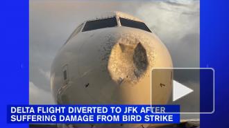 В Нью-Йорке вынужденно сел самолет после столкновения с птицей
