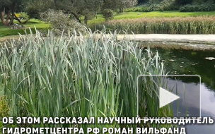 Гидрометцентр: "В июле периоды похолодания будут сменяться жарой"