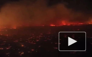 В результате пожаров на Гавайях погибли не менее шести человек