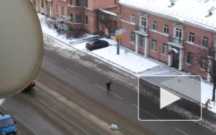 Видео: на Трефолева странный петербуржец бросался на машины