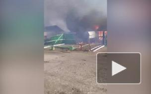 В Омской области пожар уничтожил в посёлке пять жилых домов 