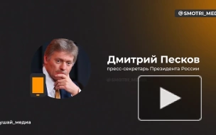 Песков: ответ на прием Швеции в НАТО будет аналогичным ответу на вступление Финляндии