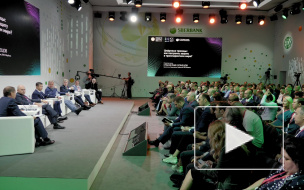 На ПМЭФ рассказали, как уберечь интернет от хакерских атак