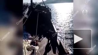 Один из граждан КНДР, напавших на пограничников в Японском море, получил 7 лет колонии