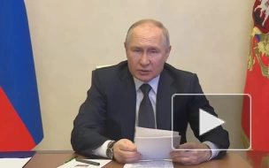 Путин назвал регионы, где ожидается прирост потребления газа