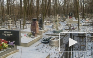 Под Петербургом возле кладбища найдены мертвыми брат и сестра