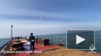 С побережья Черного моря собрали почти 149 тыс. тонн загрязненного песка и грунта