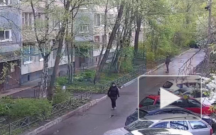Кража мобильного телефона на Дыбенко попала на видео 