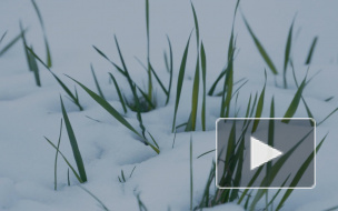 Синоптики предсказали раннюю весну европейской части России