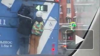 Видео: в Красносельском районе заметили зацеперов