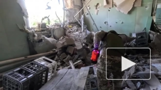 Спецслужбы ДНР нашли под Авдеевкой заминированный схрон с гранатометами и боеприпасами