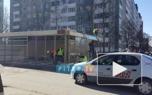 Видео: на Светлановском демонтируют ларек с кебабом