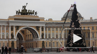 На Новый год Санкт-Петербург украсят 15 искусственных елок