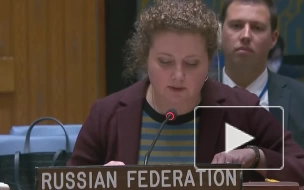 Зампостпреда России в ООН объяснила ракетные пуски КНДР