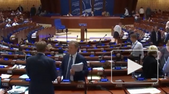 Глава делегации Украины в ПАСЕ сообщила о необходимости диалога с Россией