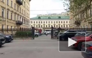 В центре Петербурга вырос борщевик