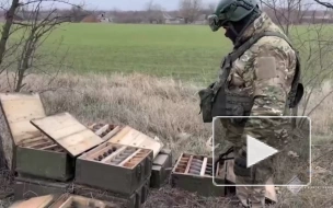 В освобожденных селах ДНР нашли крупные тайники ВСУ с боеприпасами