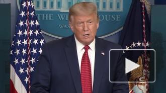 Дональд Трамп заявил о вмешательстве в выборы